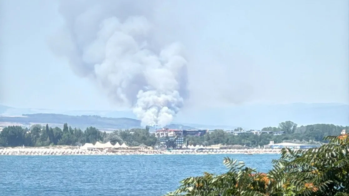 Бедствие край морето! Гори край Оризаре, димът се вижда от Слънчев бряг СНИМКИ