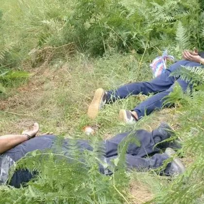 В рамките на специализирана полицейска операция насочена срещу засяването отглеждането