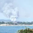 Бедствие край морето! Гори край Оризаре, димът се вижда от Слънчев бряг СНИМКИ