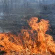 Голям пожар гори между Каварна и Балчик
