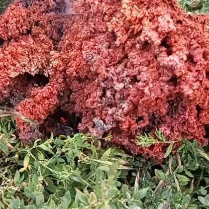 Космически отпадък от изкуствен спътник най вероятно част от сателитната мрежа