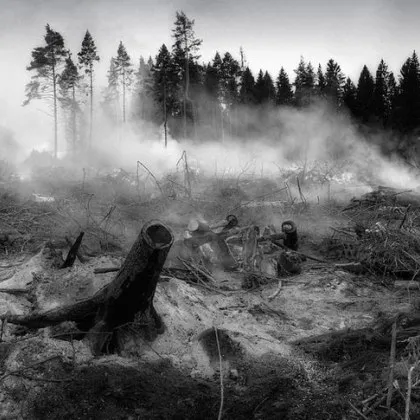 Няма данни за пострадали български граждани при пожарите в Турция