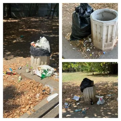 В сърцето на София където тревата е изгоряла боклукът цъфти