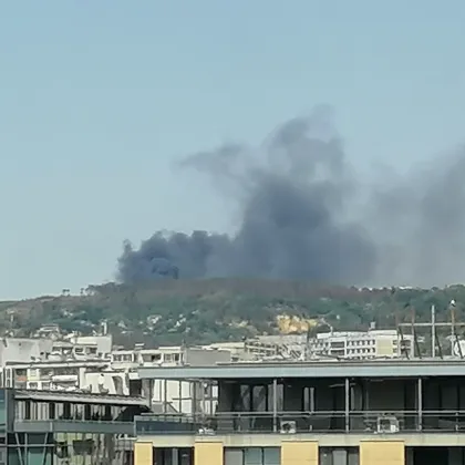 Пожар гори в този момент край Варна Огънят в пламнал