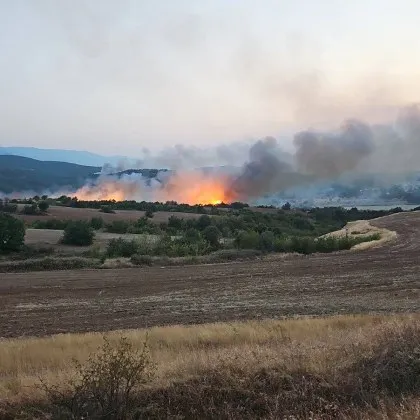 Пожар е възникнал и в петричките села Дрангово и Марикостиново В