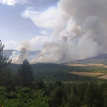 Пореден пожар пламна в страната Пламъци са обхванали района между селата
