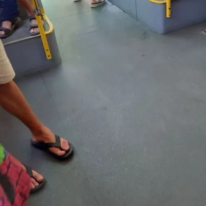 Горещините напоследък не пощадяват никого а най тежко изглежда е положението