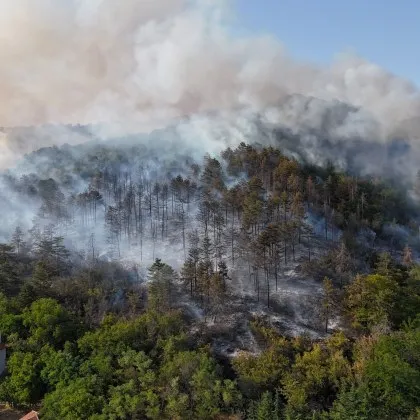 Продължават пожарите в страната Пламъци избухнаха днес в гориста местност