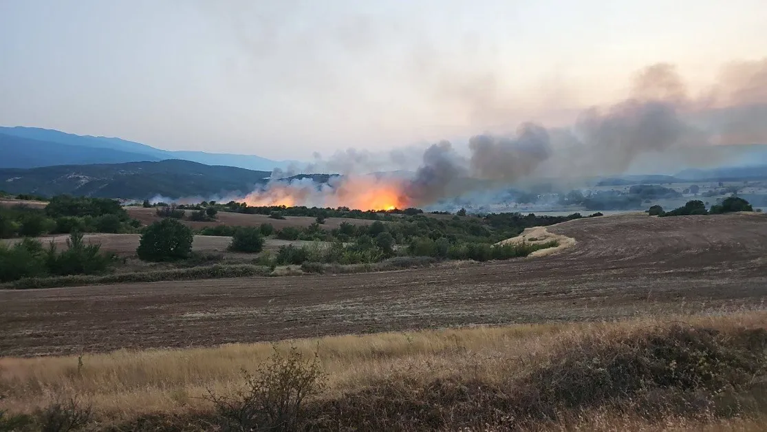 Пожар пламна и край Петрич СНИМКИ и ВИДЕА
