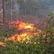 Евакуираха семейства заради пожара в Илинденци