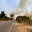 Пожар избухна в Бургаско СНИМКА