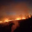 Спряха магистралния електропровод край Илинденци заради пожара