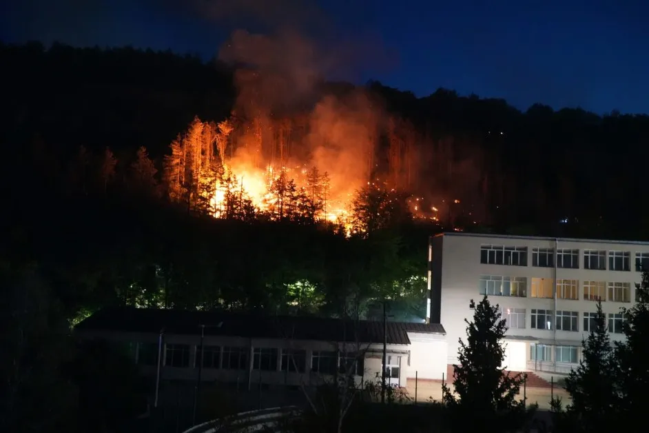 Борова гора в пламъци, горят рекорден брой пожари у нас СНИМКИ