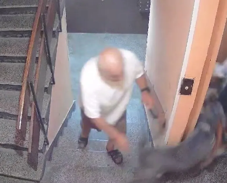 Кошмар в София: Питбул се нахвърли на кученце в блок ВИДЕО