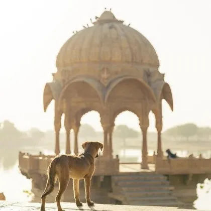Най малко шестима загинаха а поне 29 бяха ранени при блъсканица