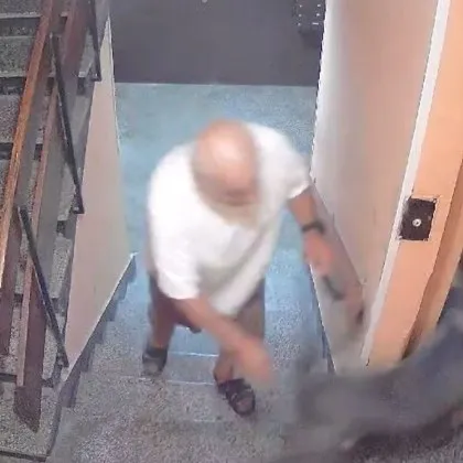 Кошмар в София: Питбул се нахвърли на кученце в блок ВИДЕО
