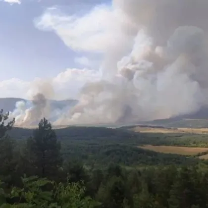 Кметът на Трън обяви частично бедствено положение за селата Слишовци