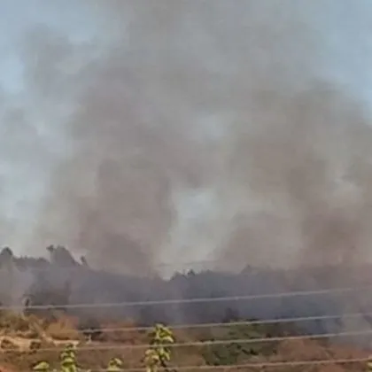 Областният управител на Пловдивска област проф Христина Янчева отправи апел за