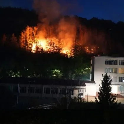 Пожарът между кварталите Бузлуджа и Чолаковци е запален умишлено Това