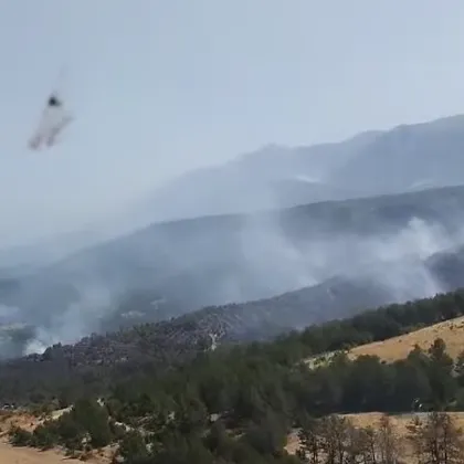 Тежка остава ситуацията с пожара край село Илинденци община Струмяни