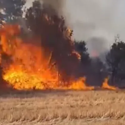 50 000 декара обхвана пожарът в Сакар Огънят пламнал преди