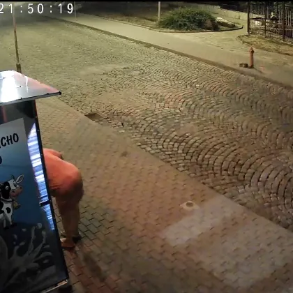Денем и нощем госпожа краде шишета от млекомат в Карлово за лична употреба