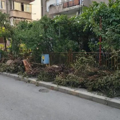 Жител на Благоевград алармира за захвърлени клони и растителни отпадъци