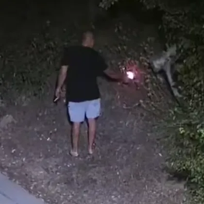 По разпореждане на Борислан Сарафов обвиняват в тероризъм извършителите на