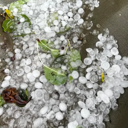 Буря придружена от интензивна градушка връхлетя няколко населени места в