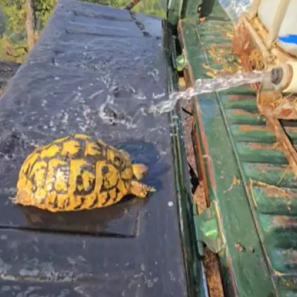 Докато огнената стихия поглъщаше хълмовете край Симитли и се разрастваше