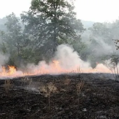 Пожарът край първомайското село Искра е потушен Това заяви кметът на