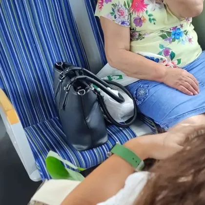 СНИМКА от влака предизвика дебат в социална мрежа