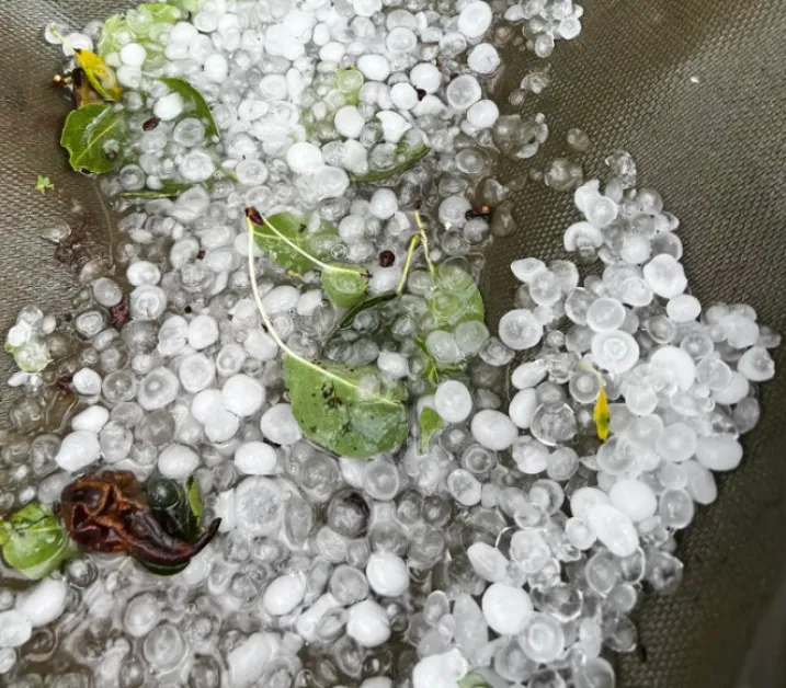 Мощна градушка удари Северозападна България СНИМКИ