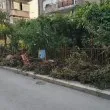 "Eдин фас и ще стане страшно": Захвърлиха клони на  тротоар, ще има ли намеса? СНИМКА