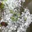 Мощна градушка удари Северозападна България СНИМКИ