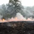 Пожарът край първомайското село Искра е потушен