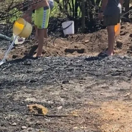 Докато жегата се сипеше безмилостно над Ямболско огнен ад изпепели