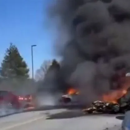 Малък самолет се закачи за дърво и се удари в