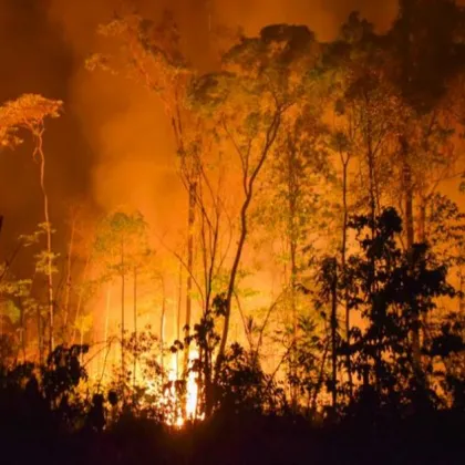Пети ден продължава борбата с огъня край село Илинденци в