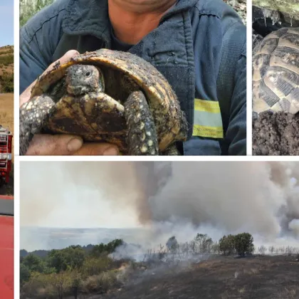 В разгара на голям горски пожар край село Лесово община