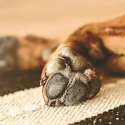 Потресаваща публикация в социалната мрежа разтърси хиляди потребители с твърдение