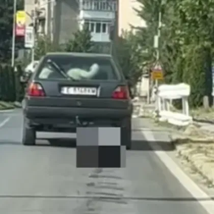 Задържаха шофьора, влачил куче с колата си в Банско