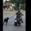 Моторист подкара из София, куче на повод тича след него ВИДЕО