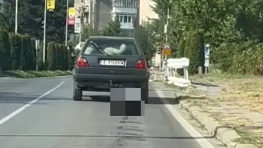 Задържаха шофьора, влачил куче с колата си в Банско