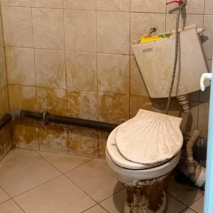 Омбудсманът Велислава Делчева сезира пет институции по повод получени тревожни сигнали от