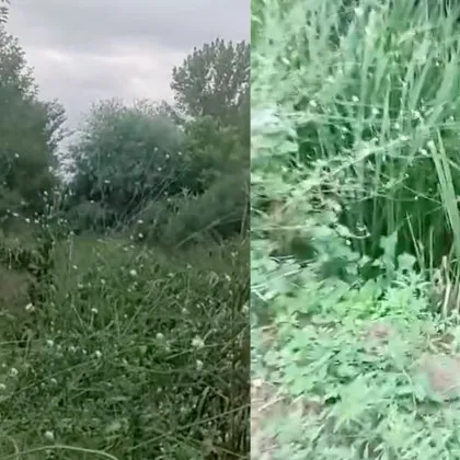 Тревожен сигнал за замърсено корито на река Бели лом край