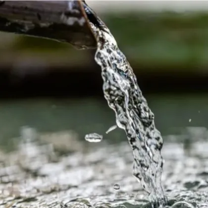 Сметната палата ще извърши одит на осигуряването на достъп до