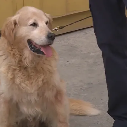 Митницата във Варна пенсионира един от най добрите си служители –