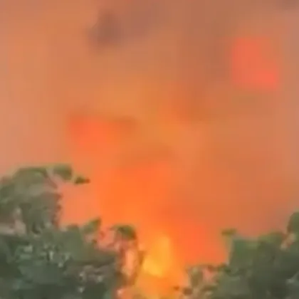 Пожарът в Пирин продължава да завзема нови територии въпреки труда