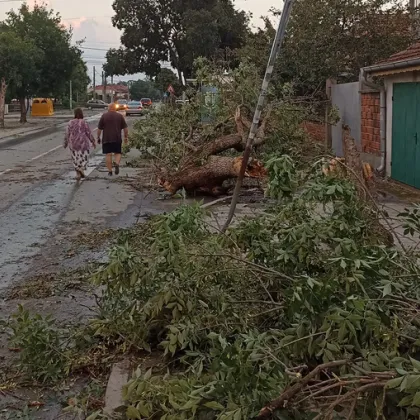 Електроразпределение Юг с информация за актуалната обстановка с електрозахранването в